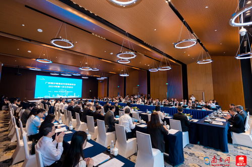 深化粵港交流機(jī)制建設(shè) 廣州南沙粵港合作咨詢委員會(huì)三周年 成績(jī)單 亮眼